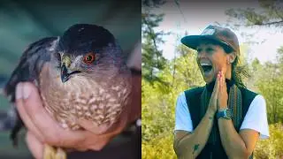 Inside the Intermountain Bird Observatory (They Need Your Help!)