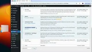 TranslatePress Multilingual Business WordPress Plugin Installation | GPL Bees | Digital Confidense