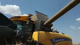 Выгрузка комбайна New Holland CX6.90