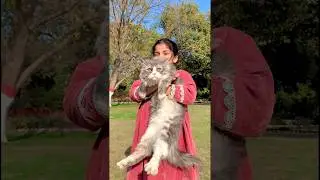 Most Important Video | Kids Dance | Little Champion | Pocho Zara Pocho | RPM | Reel Pro Max