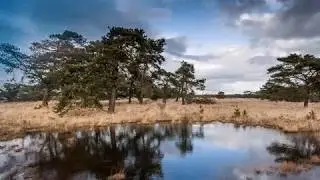 Geen land ook ter wereld (lied 'O mijn Kempen' van Armand Preud'homme)