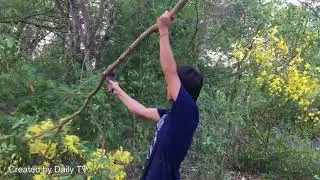 42 Best Bird Trap Technology using Two Fan Guard  Work 100%    How to Install Bird trap by Smart boy