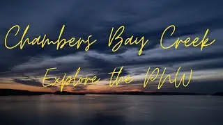 Chambers Bay Creek Park 4K