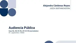 Audiencia Pública Caso No. 86-25-IN y 59-25-IN (acumulados)