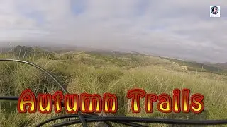 Lizard's Trail - POV