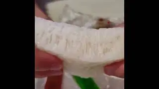 Fabulously Fluffy Chewy Old School Breakfast! #streetfood #food #foodie #shorts #gaming #foodporn