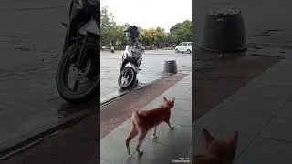 suasana jalanan dan ruko di sp plaza Sagulung kota Batam (@hayyulmubarakchannel)