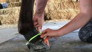 Endurance Gaiters and Mud Straps