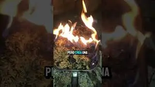 Con c&aacute;scaras de arroz desechadas el concreto se hace m&aacute;s fuerte
