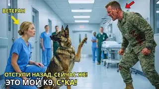 «УБИРАЙСЯ ОТ МОЕГО K9!» — закричал раненый боец ВМС США, пока он не отдал честь молодой медсестре