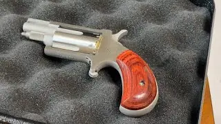 NAA 22 mag. Catching Bullets.@OutDoorsModerator 