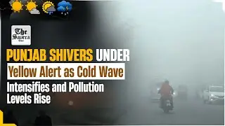 Live | Punjab Shivers Under Yellow Alert as Cold Wave Intensifies and Pollution Levels Rise