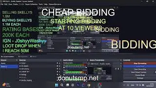 DonutSMP CHEAP BIDDING!!