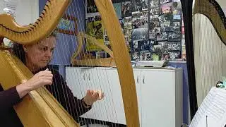 O'Carolan's Lockdown Challenge 2020 - Planxty O'Carolan #177