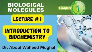 Introduction to biochemistry class 11 |Ch#1 Biological Molecules| #importanceof biochemistry