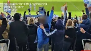 MFF-supportrar gjorde nazih&auml;lsning &ndash; d&ouml;ms i Hovr&auml;tten