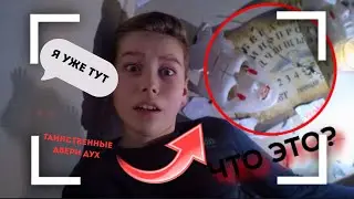 ПРОВЕРКА КОМНАТЫ ПИТОМЦЕВ ВЫШЛА ИЗ ПОД КОНТРОЛЯ - ЛОЙС ТУТ БЫЛ | Dani Dix Pets