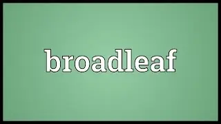 Broadleaf Meaning