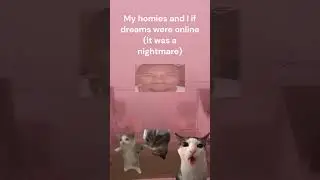 If dreams were online: #shorts #cat