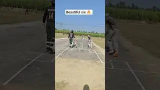 T20 Beautiful State Six 😍  #cricket #cricketplayer #shorts #miniblog #tahirblog