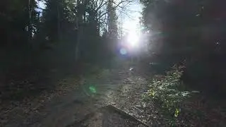 Mountain Walk 2 #nature #mountains #relaxing #walking #hiking #asmr #meditation