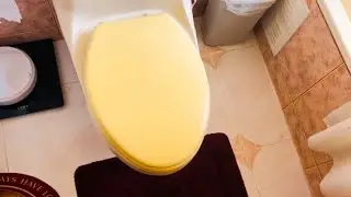 Como reparar y pintar tapa WC