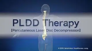 PLDD Therapy Percutaneous Laser Disc Decompression
