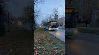 MAN NG363 #10840 PKS Szczecin