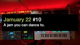 Jamuary 22 | 10 | the aggressive walrus (instrumental)