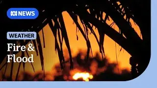 Catastrophic fire danger in Victoria while Queensland braces for flooding rain | ABC NEWS