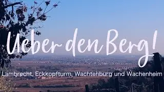 &Uuml;ber den Berg - Lambrecht, Eckkopfturm, Wachtenburg | Wandern in der Pfalz