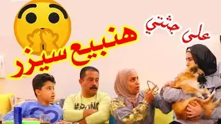 مقلب هنبيع سيزر