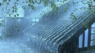 End Sleepless Nights in 3 Minutes With Growling Rain & Shrill Thunder on Rickety Tin Roof at Night 