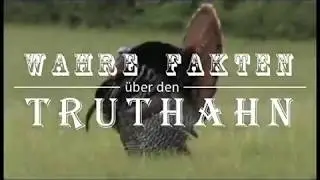Wahre Fakten &uuml;ber den Truthahn