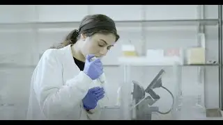 MRes Translational Biomedical Sciences - Warwick Medical School