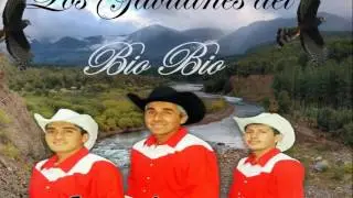 Mix Los Gavilanes Del Bio Bio - Cumpliendo Un Sueño (KlaudioX Dj 2017)