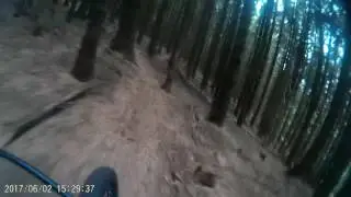Hopcott on the Vitus 1st run
