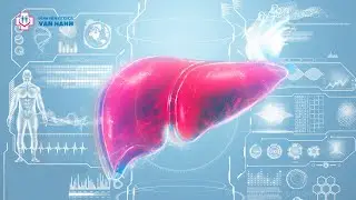 UNG THƯ GAN - PHÁT HIỆN SỚM ĐỂ ĐƯỢC ĐIỀU TRỊ HIỆU QUẢ
