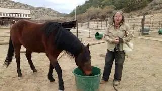 El Jefe Handling Demo