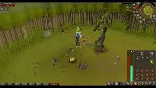 Old School RuneScape  Bryophyta Boss Fight 80 kc times with  to get boss drop. #oldschoolrunescape