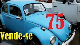 Vende-se Fusca 75, muito &iacute;ntegro, na regi&atilde;o de Juiz de Fora - Minas Gerais - Carro de Exposi&ccedil;&atilde;o