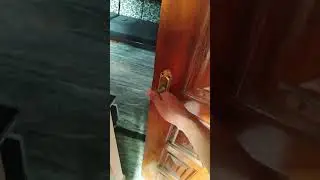 How to close a door how to avoid any injuries while closing door