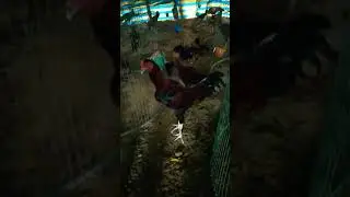 Nani farms Bhimavaram