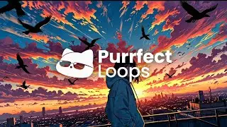 Purrfect Loops - Too Late to Stay ( Lyrics Music Video )