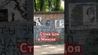 Стена Цоя | Минск, Беларусь #беларусь #минск #minsk #belarus