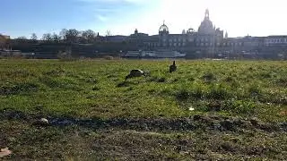 20251123 131303
