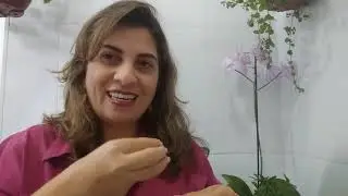 Dificuldades de aprendizagem em Matemática