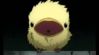 Uccellino Puccioso