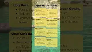 Exipure Weight Loss Pills | Benefits of Exipure | Exipure Reviews USA  #shorts