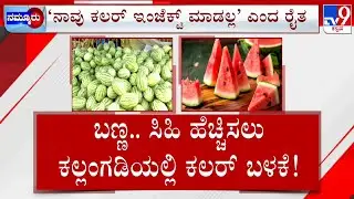 Vendors Inject Artificial Colors To Watermelon: ಹಣ್ಣಿನ ರುಚಿ, ಬಣ್ಣಕ್ಕೂ ಇಂಜೆಕ್ಷನ್ ಗ್ರಾಹಕರು ಕಕ್ಕಾಬಿಕ್ಕಿ